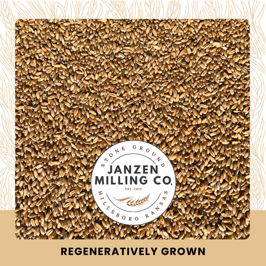 Heritage Turkey Red Wheat Berries - 4 lb.