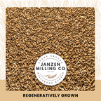 Heritage Turkey Red Wheat Berries - 4 lb.