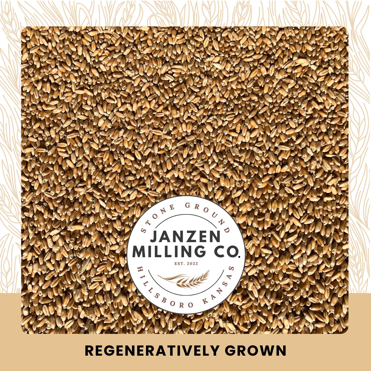 Heritage Turkey Red Wheat Berries - 4 lb.