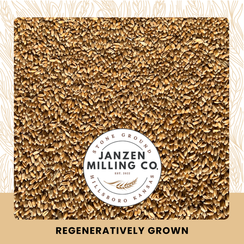 Heritage Turkey Red Wheat Berries - 4 lb.